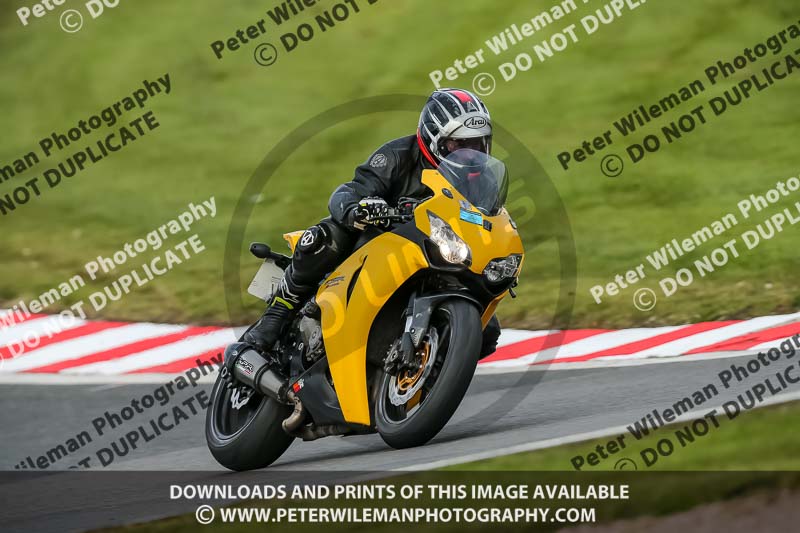 Oulton Park 21st March 2020;PJ Motorsport Photography 2020;anglesey;brands hatch;cadwell park;croft;donington park;enduro digital images;event digital images;eventdigitalimages;mallory;no limits;oulton park;peter wileman photography;racing digital images;silverstone;snetterton;trackday digital images;trackday photos;vmcc banbury run;welsh 2 day enduro